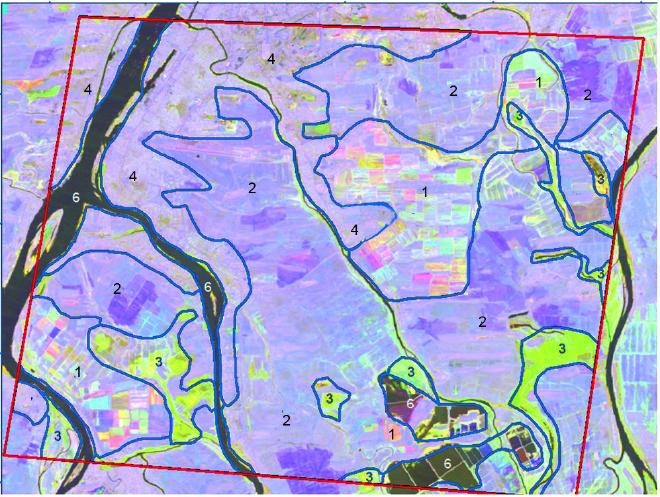 Использование признака сезонной изменчивости при дешифрировании основных видов использования земель участка в дельте Волги на многовременном синтезированном снимке. Цифрами обозначены 1 - Сельскохозяйственные поля, обрабатываемые в текущем году ; 2 - Необрабатываемые земли – залежи; 3 - Луговая растительность на заливаемых участках; 4 - Населенные пункты; 5 - Тростниковые заросли плавневого типа; 6 - Водные объекты (протоки, пруды)