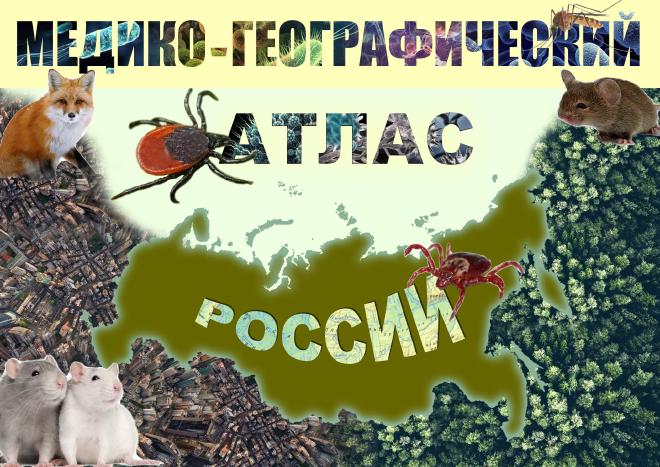 Обложка атласа (студенческая работа)